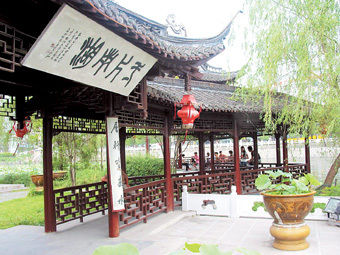 panda sports:白丁香(图2) panda sports