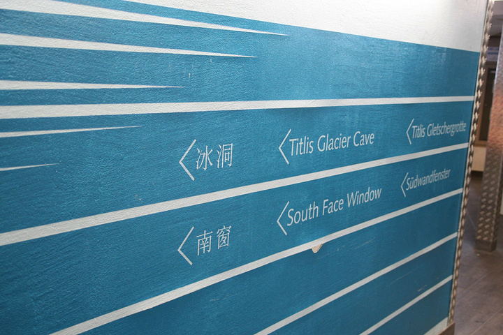 第一次种植有机小麦-panda sports(图1) panda sports